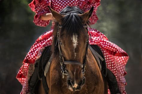 11 Types of Horseback Riding Styles: You Should Know | Pet Keen