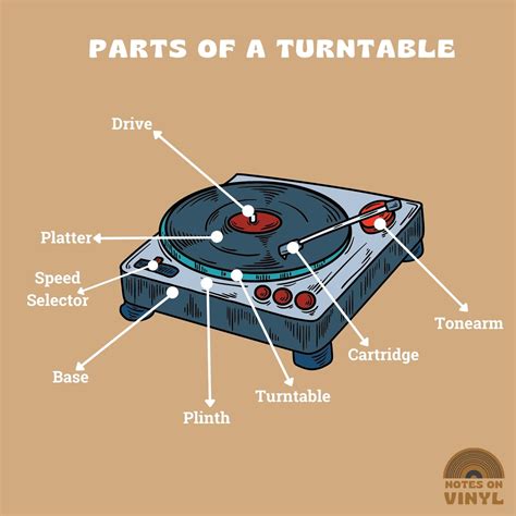 Parts of a Turntable: The 5 Elements You Must Know