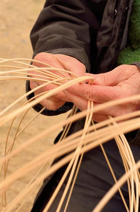 Basket Weaving Starts Here with Varying Sizes of Wood Strips Stock ...