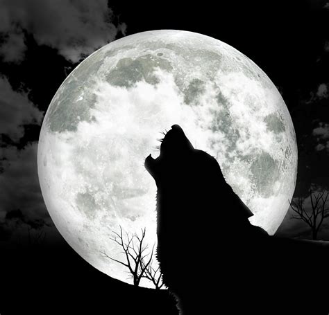 My Local Werewolf - The Legend of the Welsh Werewolf - Mystery Files | HubPages