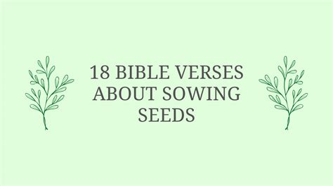 Bible Verses About Sowing Seeds - In Faith Blog