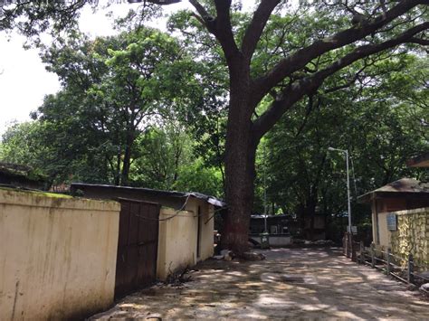 In Pictures – British-era Rani Bagh, Mumbai’s green haven – Ankush Arora