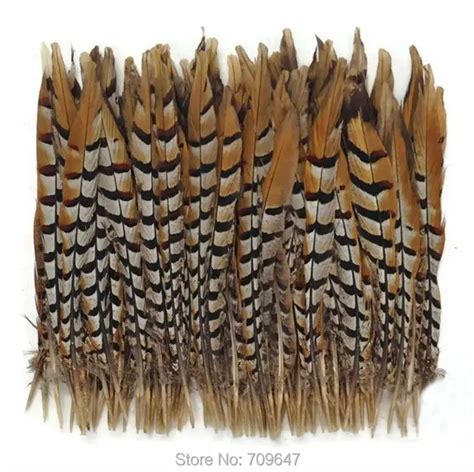 50PCS/LOT!12 14" 30 35cm Reeves Pheasant Feathers,Loose Natural Reeves Venery Pheasant Tail ...