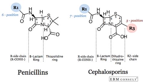 Penicillin and Cephalosporin Cross-Reactivity and Risk for Allergic Reaction