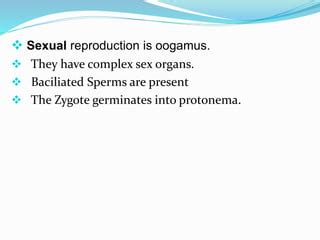 General Account of Chlorophyta & Charophyta | PPT