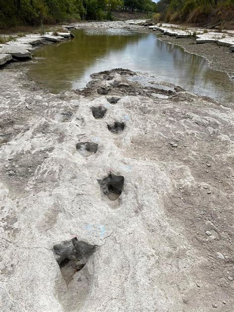 Dinosaur tracks discovered in Texas after drought dries up river