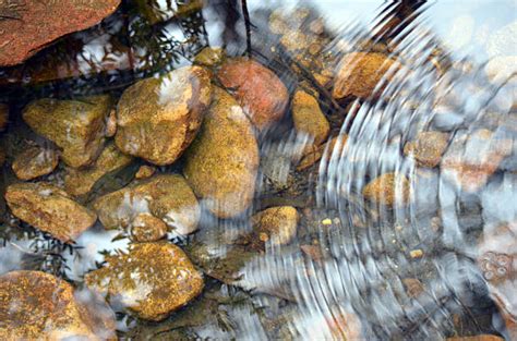 Still Pond Reflections – Free Nature Stock