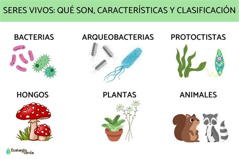 Seres vivos: qué son, características y clasificación - Resumen