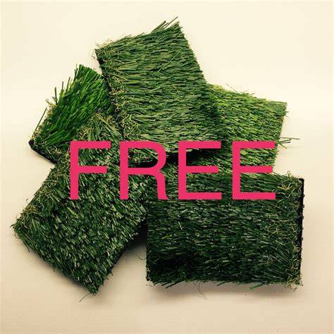 FREE SAMPLE - PreGra Premium Artificial Grass - FREE Sample of Turf # ...