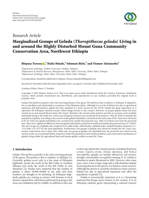 (PDF) Marginalized Groups of Gelada (Theropithecus gelada) Living in and around the Highly ...