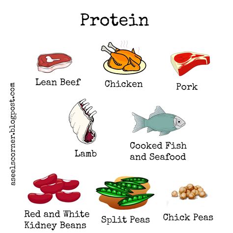 Aseel's Corner: Pregnancy Nutrition Guide