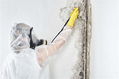 Correct & Permanent Mould Removal — Perfect Contracting