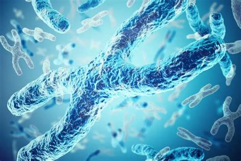 Novel Insight Into Down Syndrome and the Genetic Details of Chromosome 21