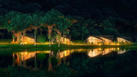 Night Palm Trees Reflection Travel, HD wallpaper | Peakpx