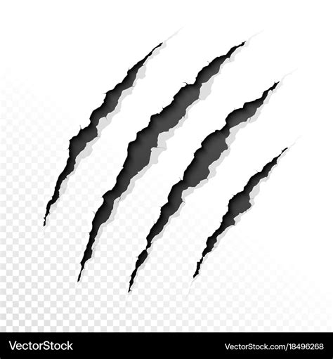 Claws scratches on transparent background Vector Image