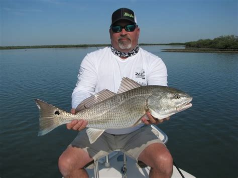 Photos Cedar Key Fishing Pictures