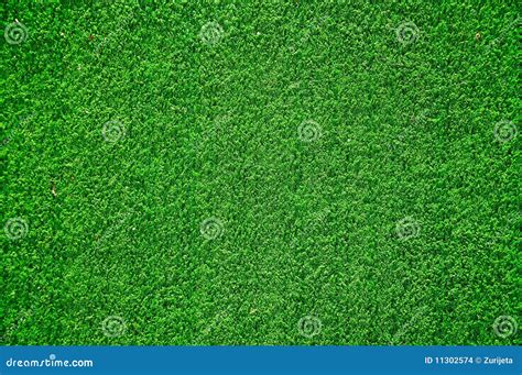 Green Grass From Above Stock Images - Image: 11302574