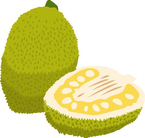 jackfruit PNG grafisch clip art ontwerp 19607596 PNG