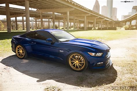 Blue 5.0 Stang on Gold Avant Garde Wheels — CARiD.com Gallery