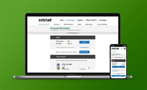 Cricket Wireless — andrewpaynecreative