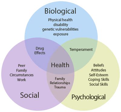 Biopsychosocial-model-of-health-2 - Evercore - Move With a Strong ...