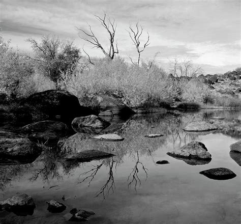 Birds of Prey Natural Conservation Area Photograph by Ed Riche | Fine ...