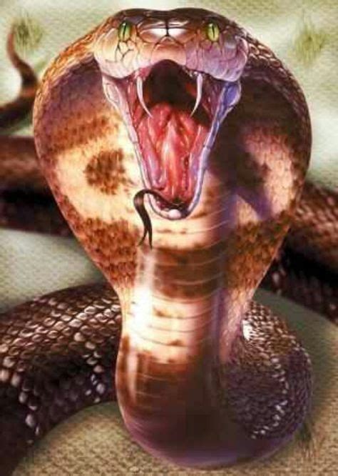 Image result for snake face mouth open | Photos de serpent, Animaux ...