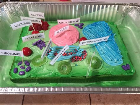 3d model of a cell membrane - ohlendorffaruolo