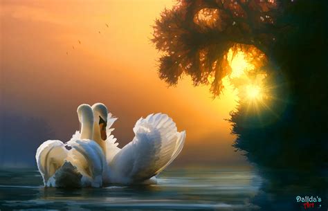 Swan Couple Wallpaper,HD Artist Wallpapers,4k Wallpapers,Images,Backgrounds,Photos and Pictures