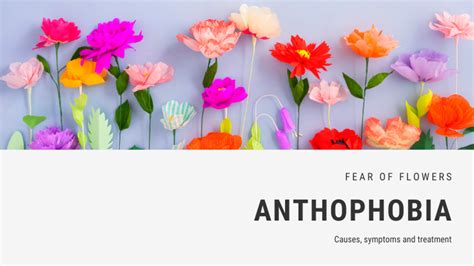 Fear of Flowers Phobia - Anthophobia | FEAROF