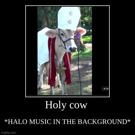 Holy cow - Imgflip