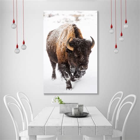 American Buffalo in Snow Original Pictures Art Buffalo Wall - Etsy