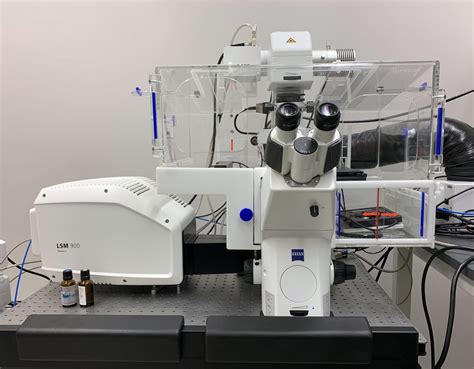 Confocal Microscopy – Keith R. Porter Imaging Facility - UMBC