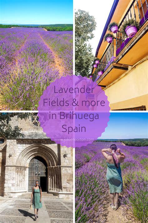 Brihuega Guadalajara | Lavender Fields in Spain