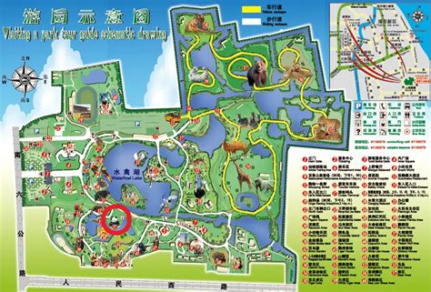 Shanghai Zoo Map