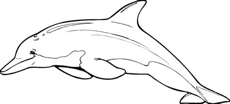 Free Dolphin Clipart Black And White, Download Free Dolphin Clipart ...