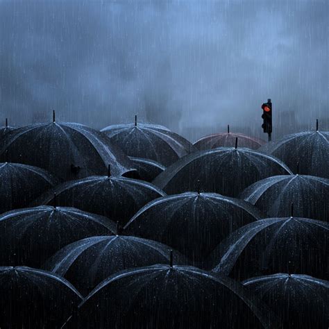 Black umbrellas in the rain. #community #inspiration #kids #photography ...