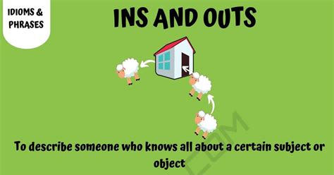 Ins and Outs: the Definition of this Idiomatic Expression (with Helpful Examples) • 7ESL