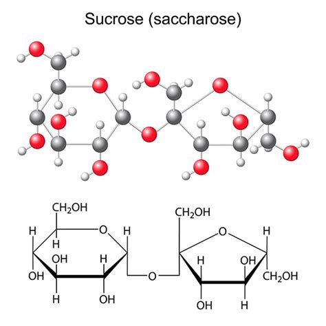 Sucrose Molecular Structure