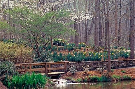 SC Botanical Gardens - Clemson South Carolina SC | Botanical gardens, Garden waterfall, Picture ...