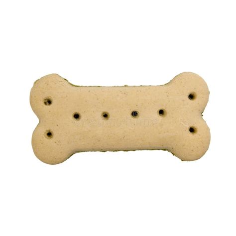 Bone shaped dog treat stock photo. Image of dinner, petfood - 31687704