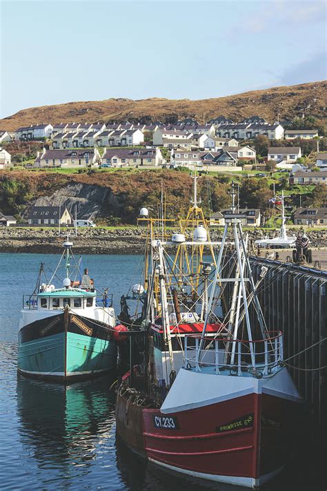 Harbour of Ullapool Photograph by Andrew Plyler - Pixels