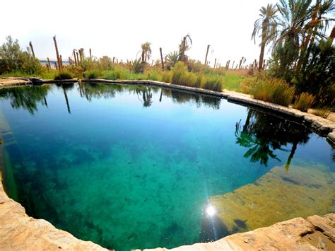 Bahariya Oasis - oasisegyptsafari’s diary