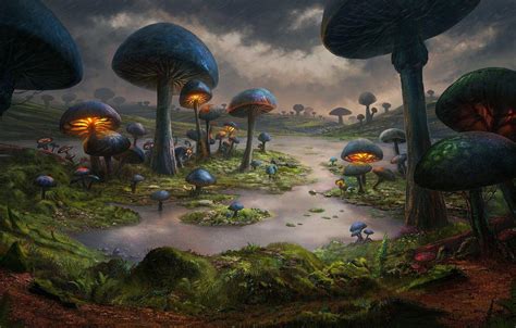 Fantasy Mushroom Wallpapers - Top Free Fantasy Mushroom Backgrounds - WallpaperAccess