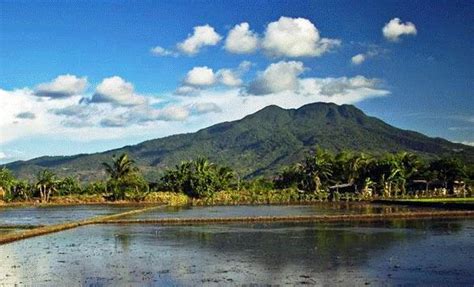 Mount Makiling - Travel to the Philippines