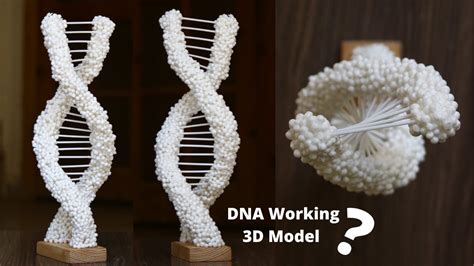 How to make DNA 3d working model DIY | How to build a DNA model rotate at 360° for science ...