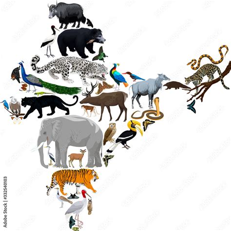 Vector India fauna map, flat elements. Animals, birds, reptiles ...