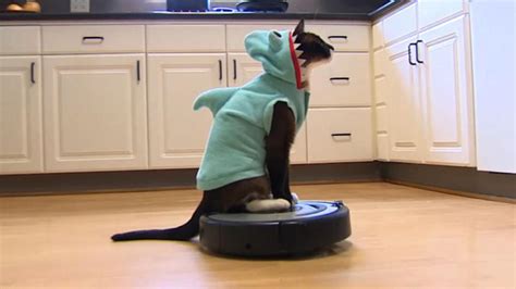 Hitting the Books: How Dave Chappelle and curious cats made Roomba a household name | Engadget