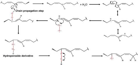 Figure 1 from A Review of Efforts to Improve Lipid Stability during ...