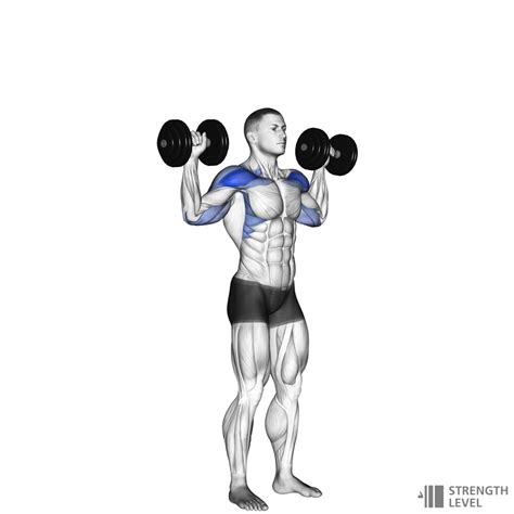 Dumbbell Shoulder Press How To - Strength Level